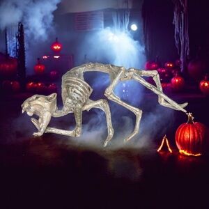 Smiffy’s Skeleton Cat Halloween Prop READ Complete Bone Structure- Plastic